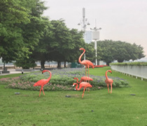 玻璃鋼火烈鳥RH6060